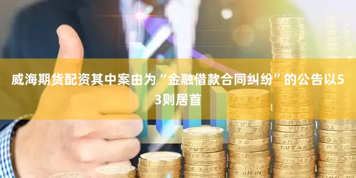 威海期货配资其中案由为“金融借款合同纠纷”的公告以53则居首