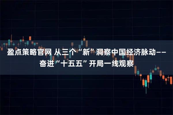 盈点策略官网 从三个“新”洞察中国经济脉动——奋进“十五五”开局一线观察