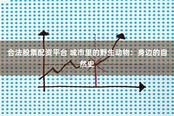合法股票配资平台 城市里的野生动物：身边的自然史